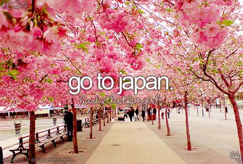 98a69b12466ac7629f6b54c0f6244fe3