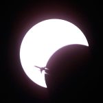 airplane-solar-eclipse-annular-ring_11934_600x450
