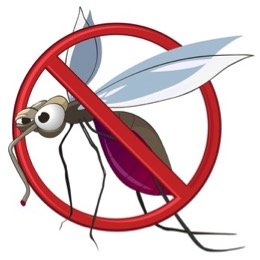 mosquito